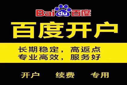 竞价推广公司经典案例：打造行业领先的广告投放效果